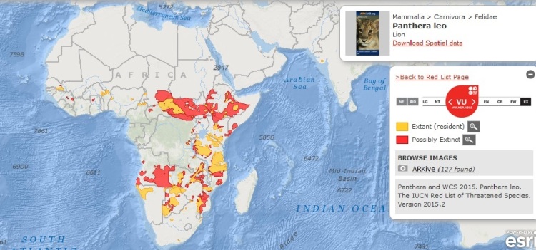 IUCN Range Map Lion