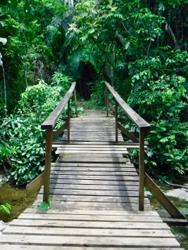 Crossing a wooden bridge.
