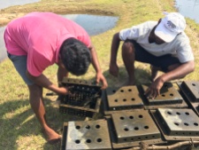 Setting up a series of crab-culture boxes. Image © Fishing Cat Conservancy.