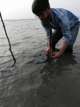 FCC lead field researcher Pranav Tamarapalli placing a crab-culture box in the water. Image © Fishing Cat Conservancy.
