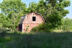 An aging barn.